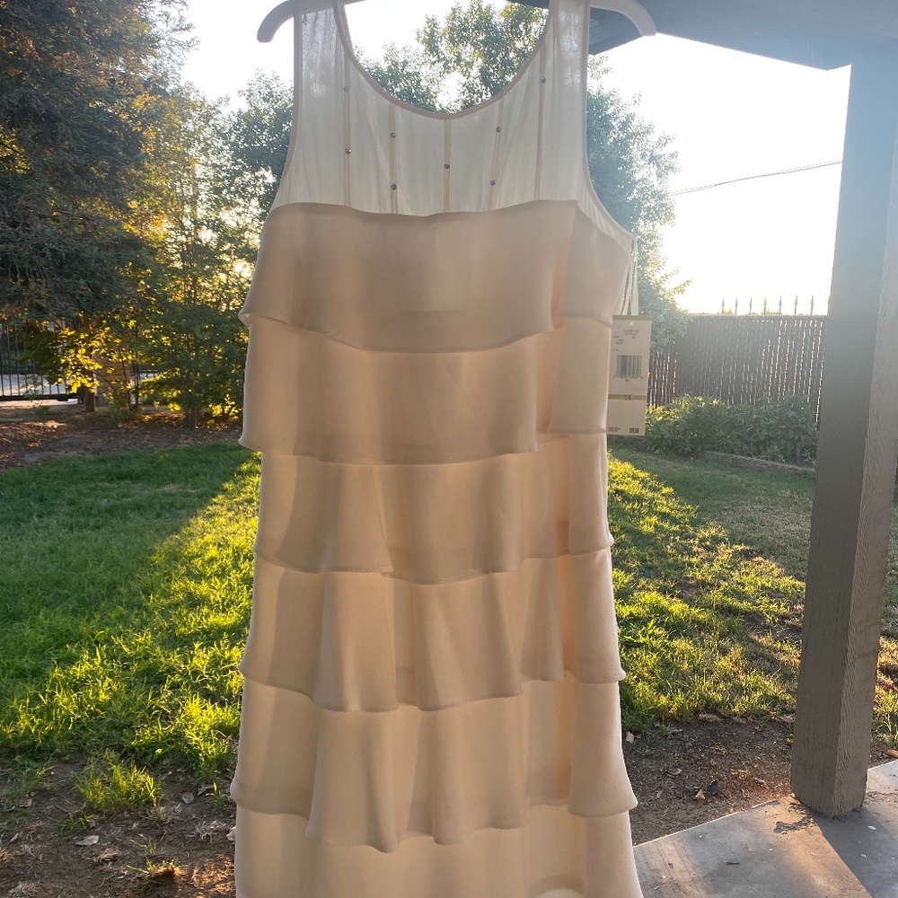 Ivory Evan Picone dress